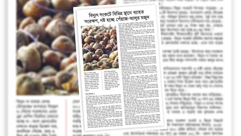 নিরবচ্ছিন্ন বিদ্যুৎ ছাড়া কৃষিপণ্যের বাজারে অস্থিরতা দেখা দেবে
