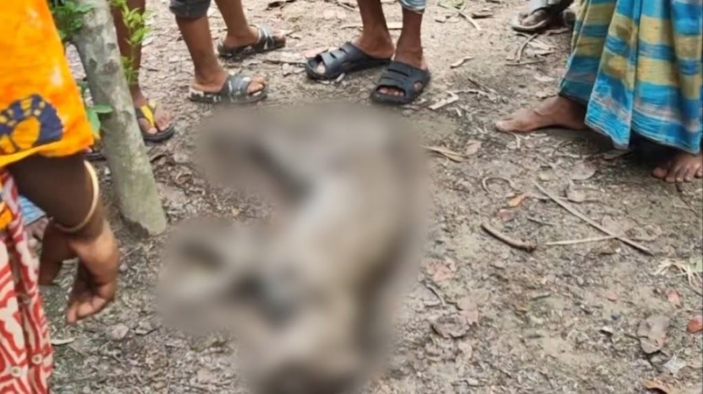 শৈলকুপায় মেছোবাঘ পিটিয়ে হত্যা
