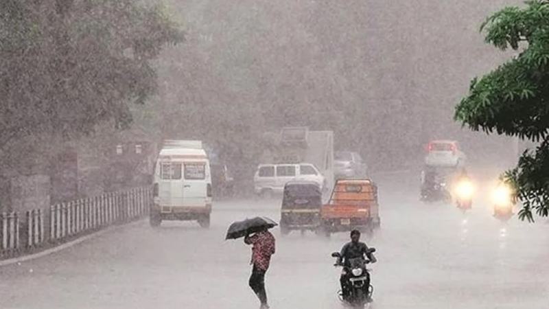 গুজরাটে বৃষ্টিপাতে প্রাণ গেল অন্তত ১৮ জনের