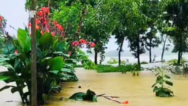 বাড়ছে গোমতীর পানি, ফসল হারানোর শঙ্কায় চরাঞ্চলের কৃষকরা