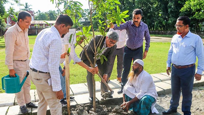 গ্রামীণ ব্যাংকের সুবর্ণ জয়ন্তী উপলক্ষে এক কোটি বৃক্ষরোপণ কর্মসূচির উদ্বোধন