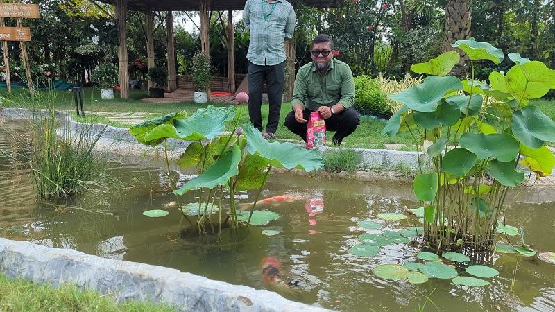 জিরো সয়েল ভাবনায় নগর সবুজায়নে গার্ডেনিং বাংলাদেশ
