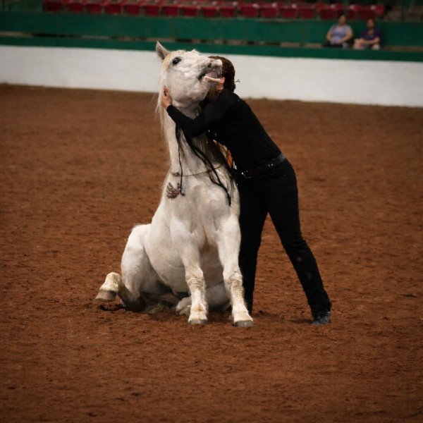 gringo-horse-tricks-lauryn-hugging-gringo