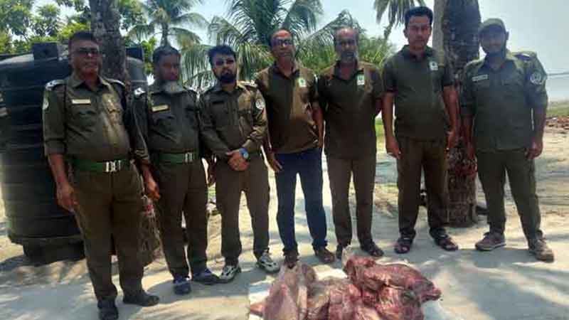 সুন্দরবন থেকে ৪২ কেজি হরিণের মাংস জব্দ