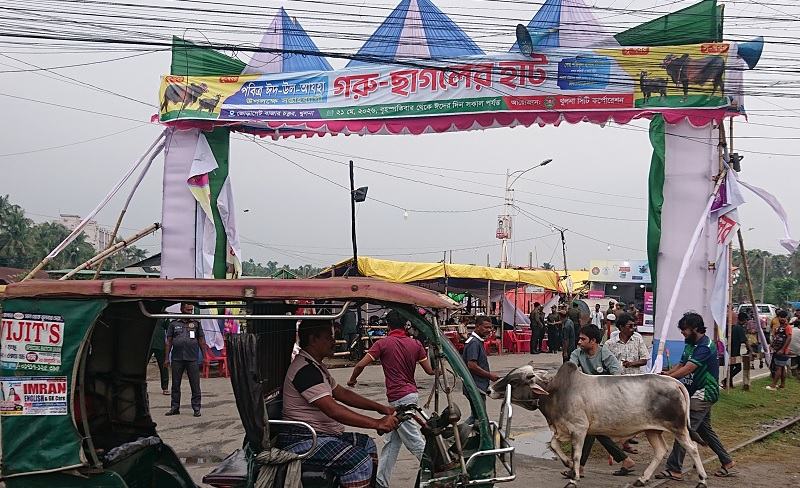 এক পশুর হাট থেকে খুলনা সিটি করপোরেশনের আয় ২ কোটি ১৫ লাখ টাকা