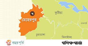 মেহেরপুরে সেচ পাম্পে হাত ধুতে গিয়ে বিদ্যুৎস্পৃষ্টে কৃষকের মৃত্যু, আহত ২