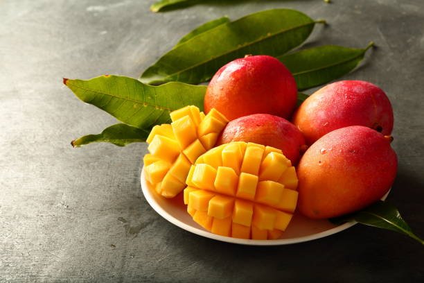 istockphoto-1152750103-612x612