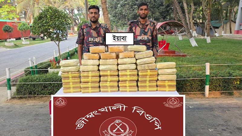 উখিয়ায় ৪ লাখ ২০ হাজার পিস ইয়াবা উদ্ধার
