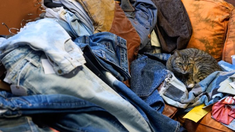 jeans2