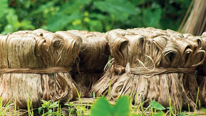 স্থলপথে বাংলাদেশের চার ধরনের পাটপণ্যে ভারতের নতুন নিষেধাজ্ঞা