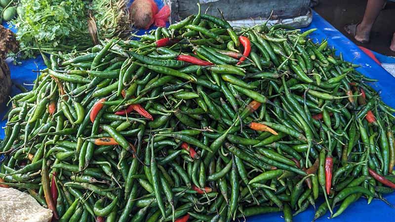 বাগেরহাটে কাঁচামরিচের কেজি ৬০০ টাকা