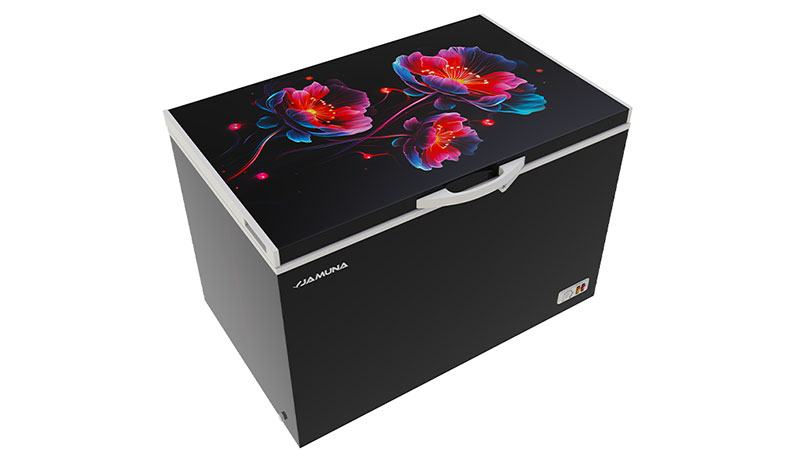 ডিপ ফ্রিজ কিনতে যা মনে রাখতে হবে