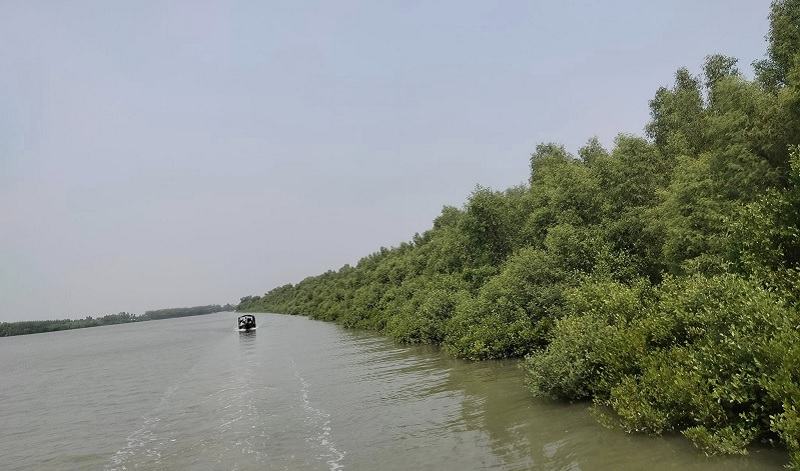 সুন্দরবনে কোস্ট গার্ডের রাতভর অভিযান, নিহত ১