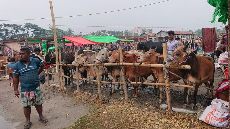 জমে উঠেছে খুলনার জোড়াগেট হাট, বাড়ছে বেচাকেনা