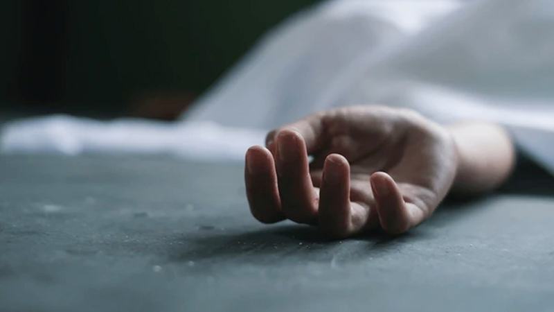 বগুড়ায় ঘরে ঢুকে দুই নারীকে হত্যা, গুরুতর আহত কিশোরী