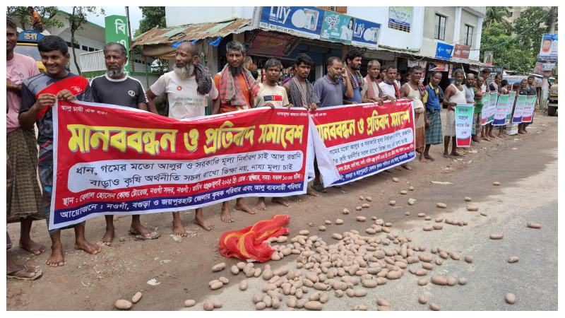 নওগাঁয় সড়কে আলু ফেলে প্রতিবাদ, ন্যায্যমূল্য নির্ধারণে সরকারের হস্তক্ষেপ চায় চাষিরা