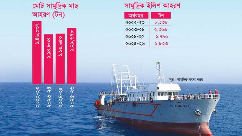 বাণিজ্যিক জাহাজে মাছ আহরণ কিছুটা বাড়লেও ইলিশে ধস