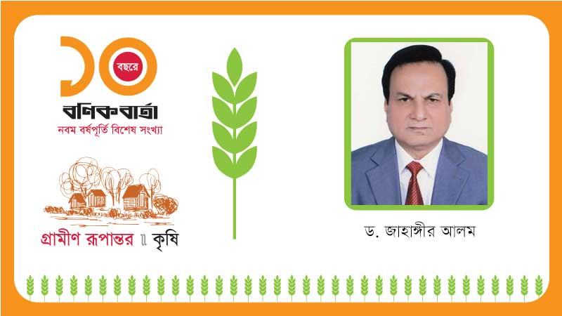 গ্রামীণ রূপান্তর: চিরায়ত কৃষিজমি সংরক্ষণ করা দরকার