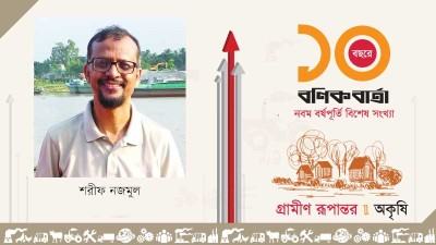 পল্লীফোন: ডিজিটাল বাংলাদেশের বীজ বপনের গল্প