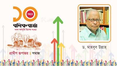 ক্ষুদ্র জমি, উন্নয়ন ও গ্রামীণ নেপোলিয়নের উত্থান