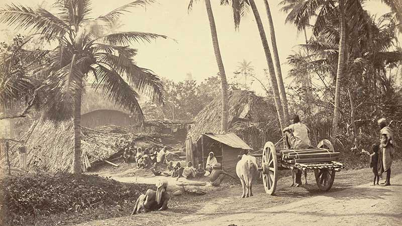 ‘নবীন কুমড়া দিয়া কই মৎস্য সনে’