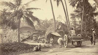 ‘নবীন কুমড়া দিয়া কই মৎস্য সনে’