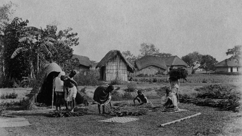 গাঁজা মহল