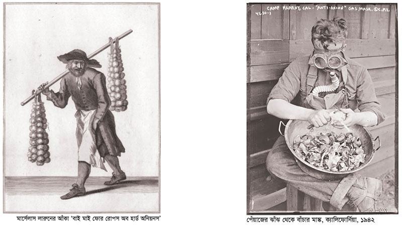 পেঁয়াজের খোসা মোটা হলে ব্রিটেনে শীত বাড়ে