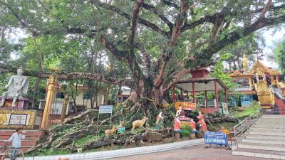 রামকোটের ইতিহাস পর্যালোচনা