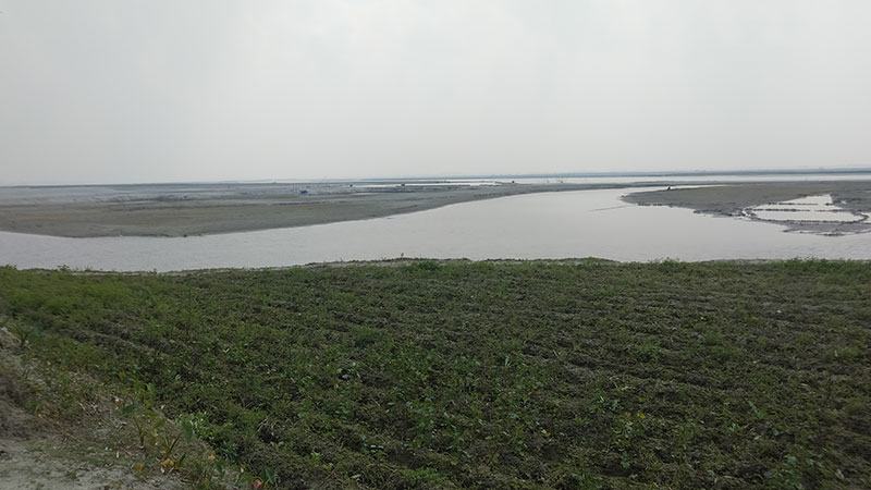 তিস্তার জন্য জলপাইগুড়ি পূর্ব পাকিস্তানে চেয়েছিল মুসলিম লীগ