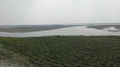 তিস্তার জন্য জলপাইগুড়ি পূর্ব পাকিস্তানে চেয়েছিল মুসলিম লীগ