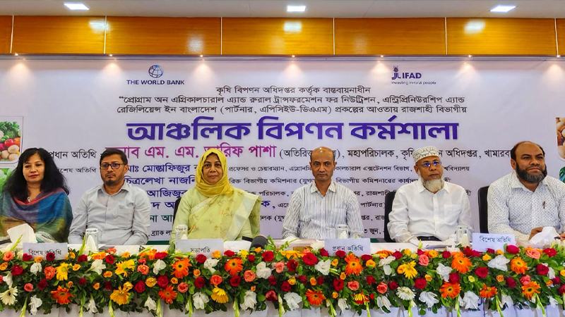 আম সংরক্ষণ ও প্রক্রিয়াজাতে ব্যবস্থা চান রাজশাহীর চাষিরা