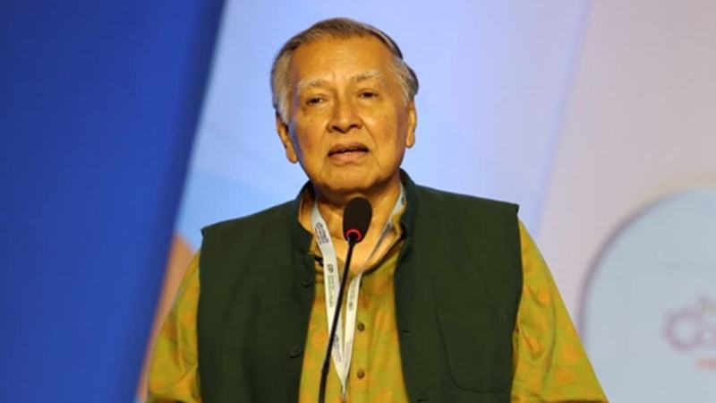স্বৈরাচার উৎখাতে আমরা যতটা ভালো, গণতান্ত্রিক প্রতিষ্ঠান গড়ে তোলায় ততটাই খারাপ: মাহফুজ আনাম