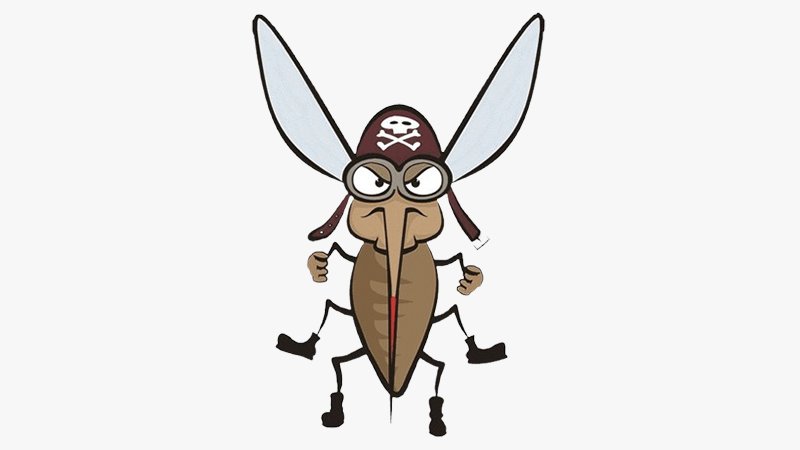 mosquoto 1