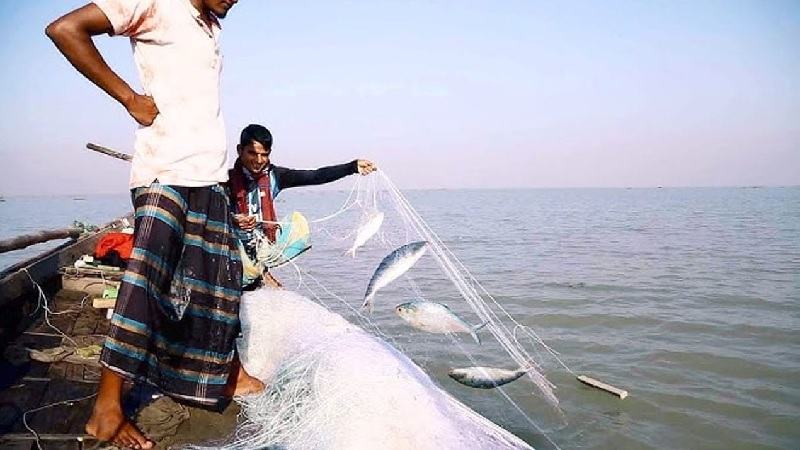 মধ্যরাত থেকে শুরু হচ্ছে জাটকা ইলিশ আহরণে ৮ মাসের নিষেধাজ্ঞা