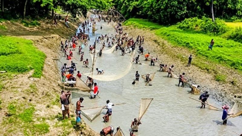 ময়মনসিংহে বিল ও নদীতে জমজমাট পলো বাউয়া উৎসব