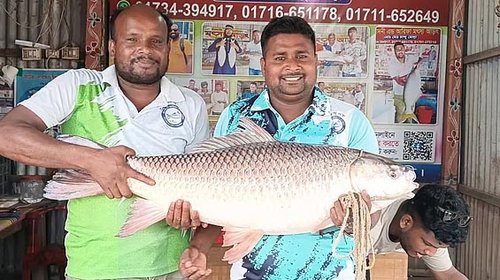 না