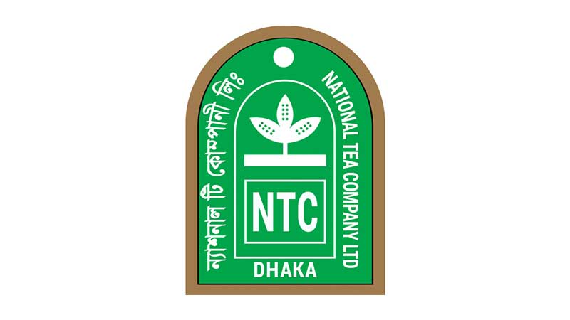 নিরীক্ষকের মতামত সম্পদ, আয় ও মুনাফা বেশি দেখিয়েছে ন্যাশনাল টি
