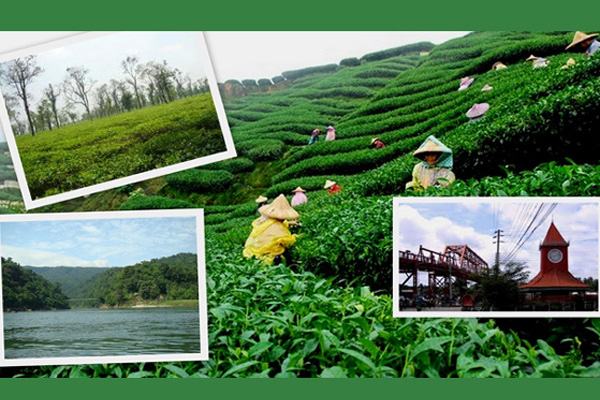 সিলেটের পর্যটন খাতের উন্নয়নে ৭ প্রস্তাবনা