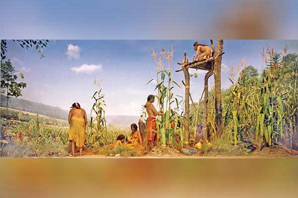 মিলপা: ৫ হাজার বছর আগের কৃষি প্রযুক্তি