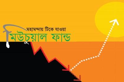 অ্যাডামস ডাইভারসিফায়েড ইকুইটি
