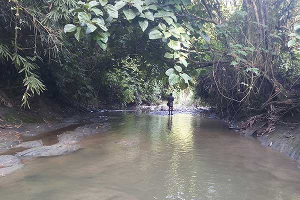 বনমানুষের  গুহায়...