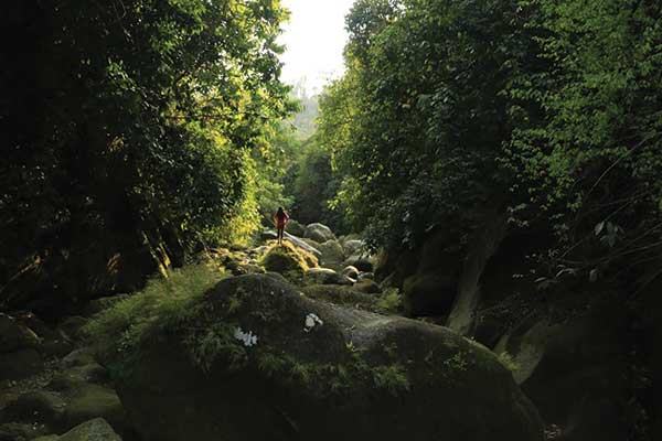 সোনাইছড়ি ট্রেইলে একাকী অভিযান