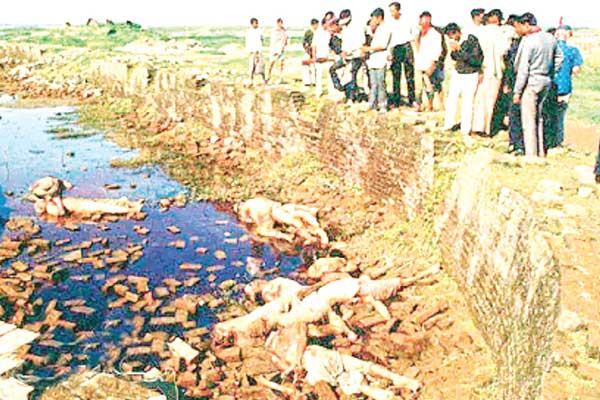 মুক্তিযুদ্ধে শহীদ চিকিৎসক