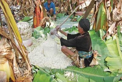 আপৎকালীন ‘সুপার ফুড’ এনসেত