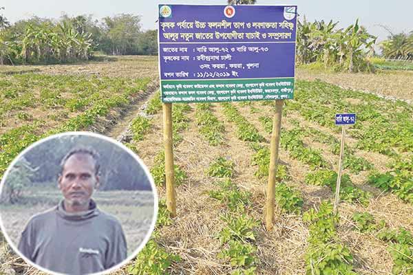 অনাবাদি লোনা জমিতে আলু চাষে সফল যিনি
