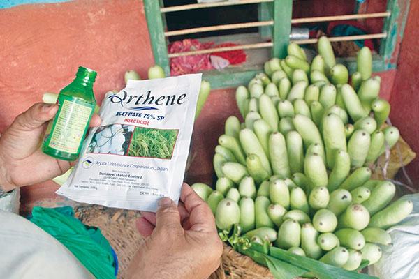 আমদানিতে কঠোর হচ্ছে কম্বোডিয়া