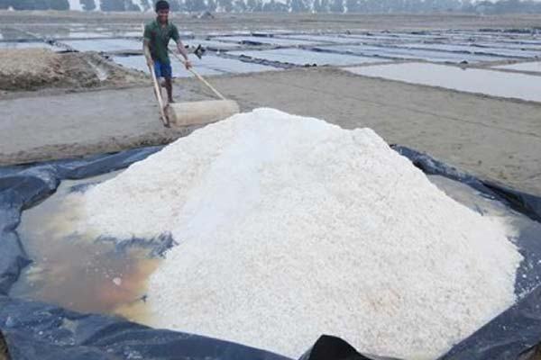 লবণ উৎপাদনের জমি কমায় বিকল্প খুঁজছে বিসিক