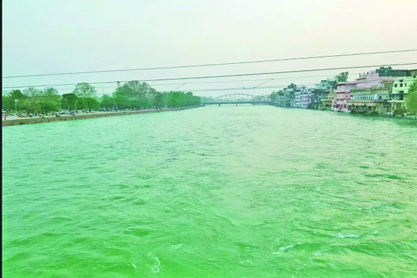 লকডাউনে পানের উপযোগী গঙ্গার পানি!