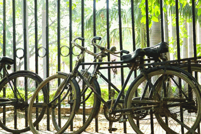 বিয়ের জন্য সাইকেল চালিয়ে ৮৫০ কিলোমিটার যাত্রা, অতঃপর...